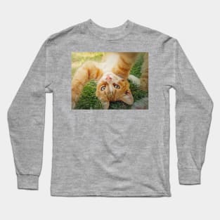 Playful orange kitten Long Sleeve T-Shirt